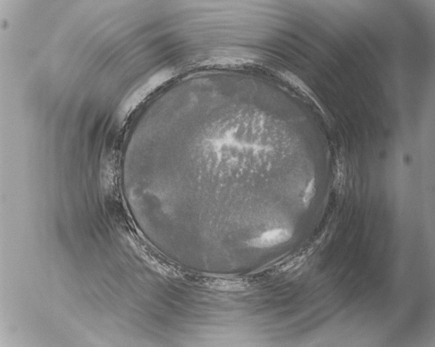 X0000052630874200507292237
