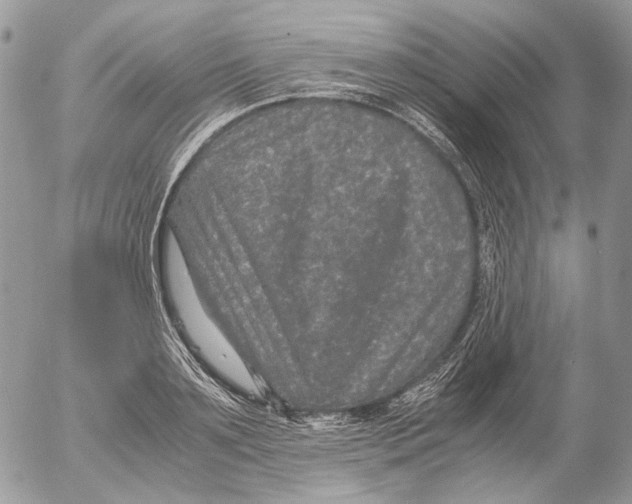 X0000052630891200507292237