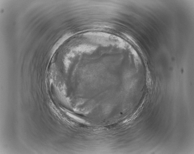X0000052630899200507292237