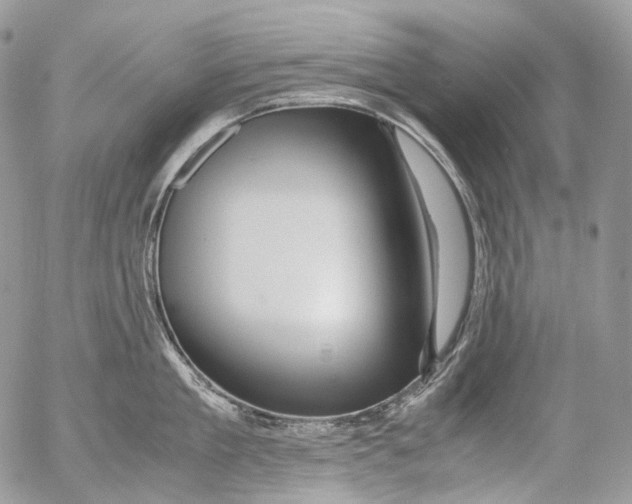 X0000052630909200507292237