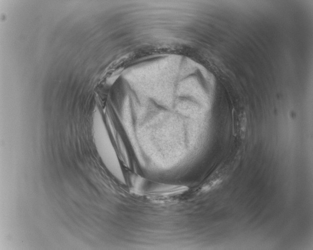 X0000052630916200507292236