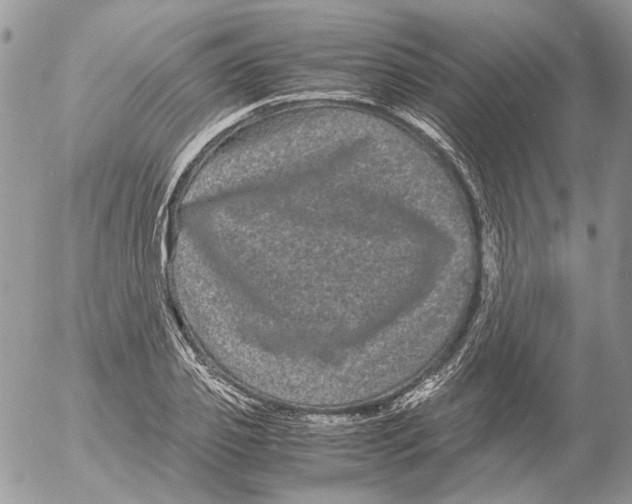 X0000052630933200507292236