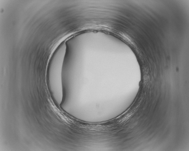 X0000052630940200507292236