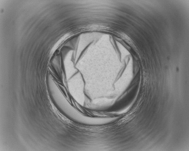 X0000052630946200507292236