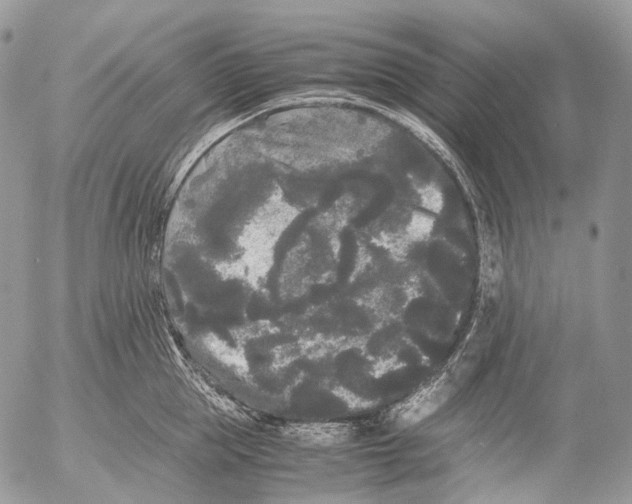 X0000052630953200507292237