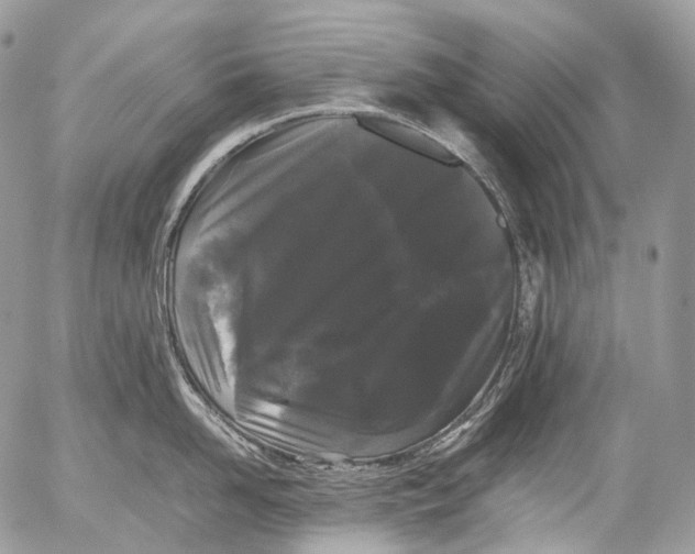 X0000052630958200507292237