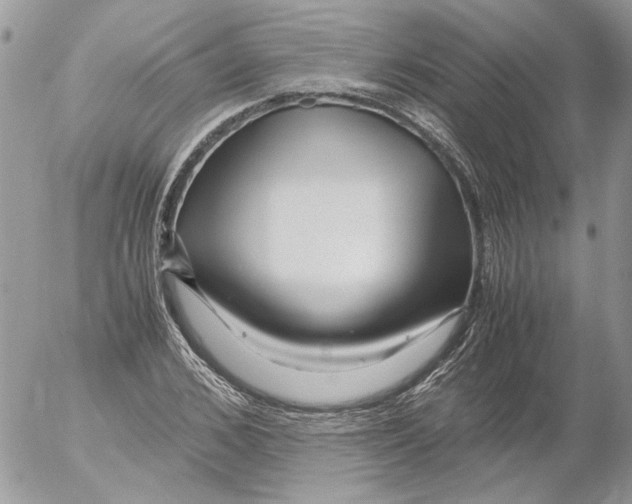 X0000052630976200507292236