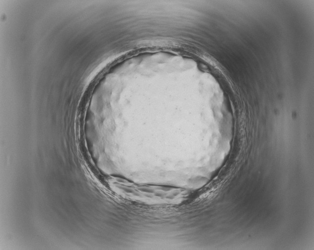 X0000052630983200507292235