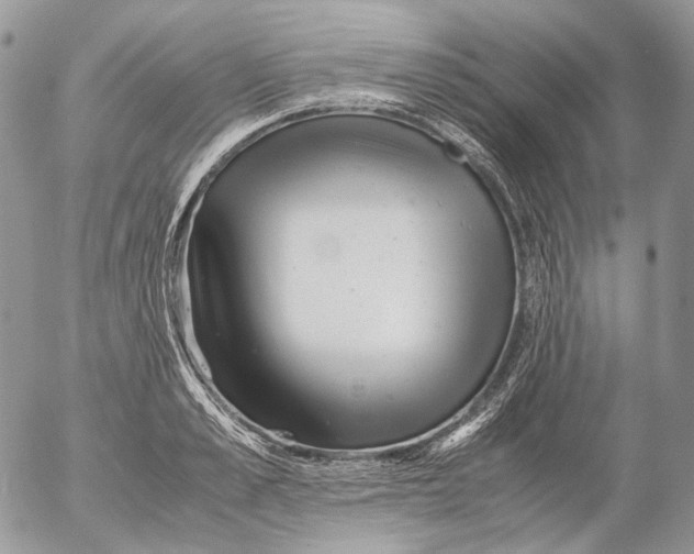 X0000052630989200507292235
