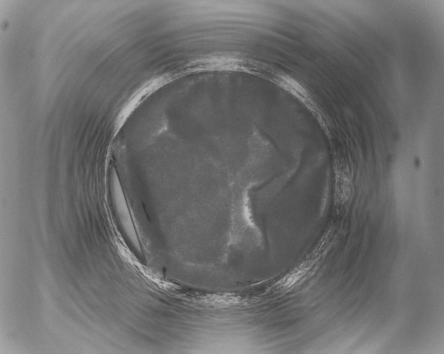 X0000052630994200507292235