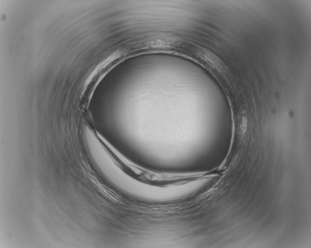 X0000052631026200507292234
