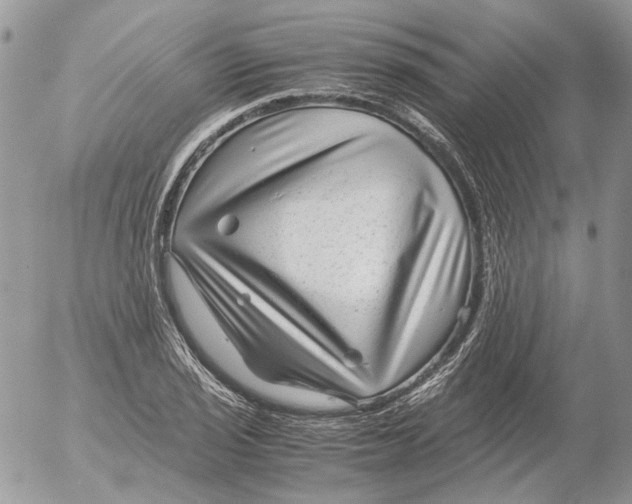 X0000052631029200507292235
