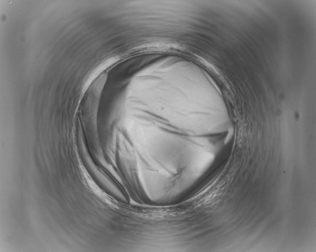 X0000052631042200507292235