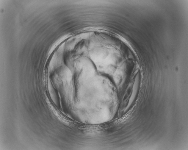 X0000052631050200507292235