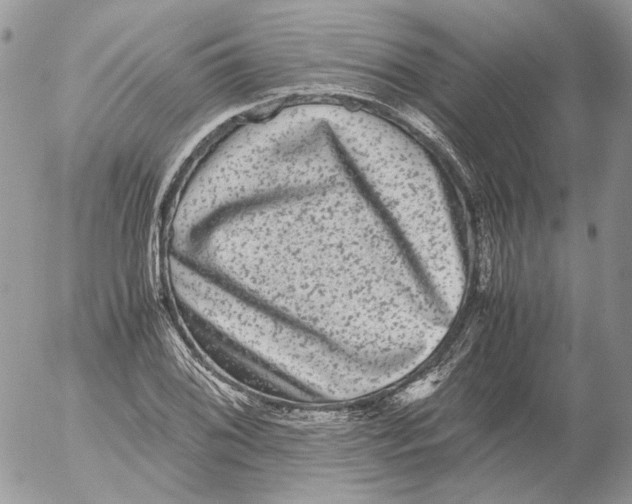 X0000052631076200507292234