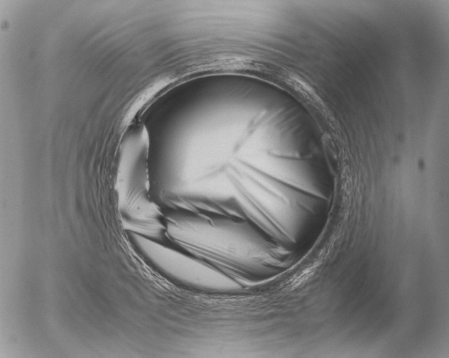 X0000052631081200507292234