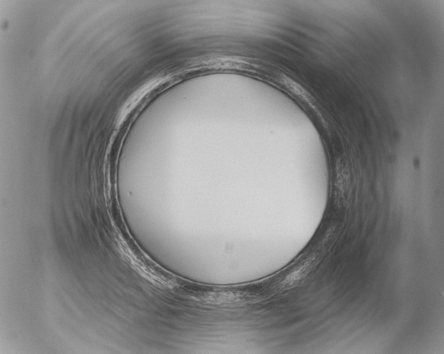 X0000052631082200507292234