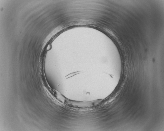 X0000052631122200507292233