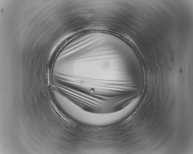 X0000052631123200507292233