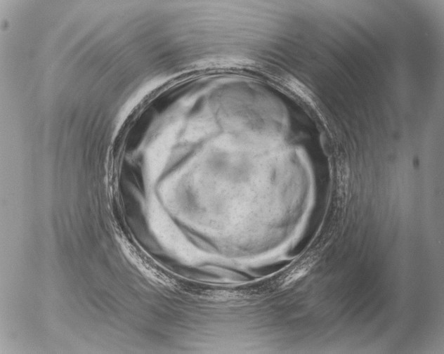 X0000052631124200507292233