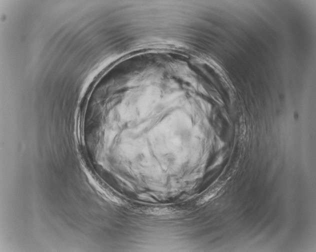 X0000052631128200507292233