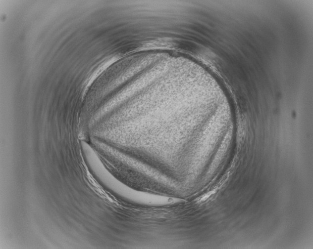 X0000052631137200507292233