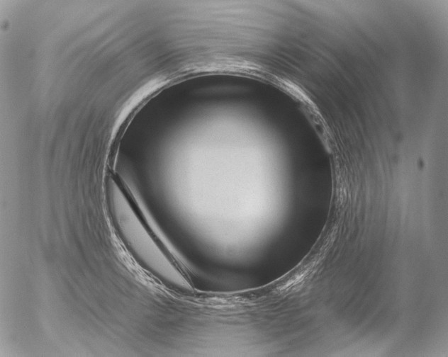 X0000052631138200507292233