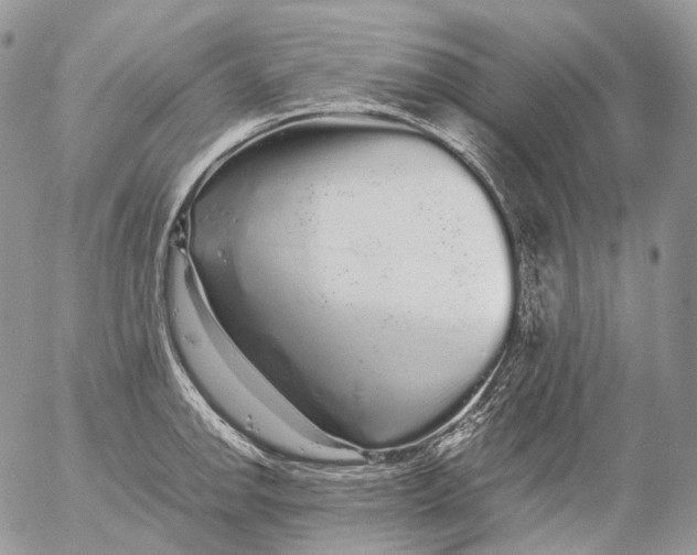 X0000052631142200507292233