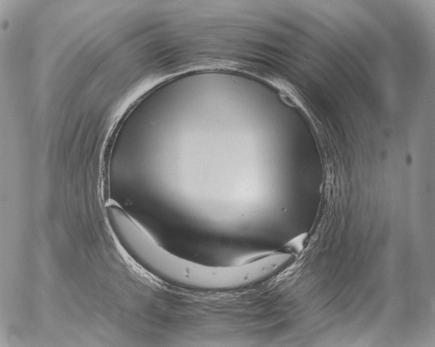 X0000052631143200507292233