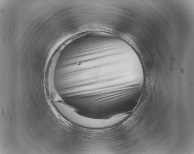 X0000052631144200507292233