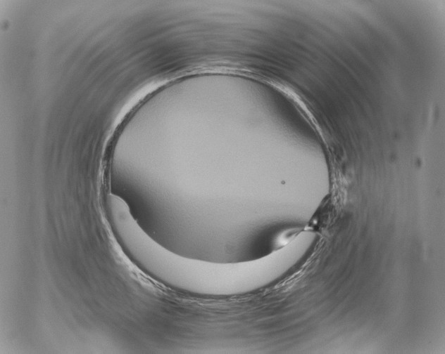 X0000052631147200507292233