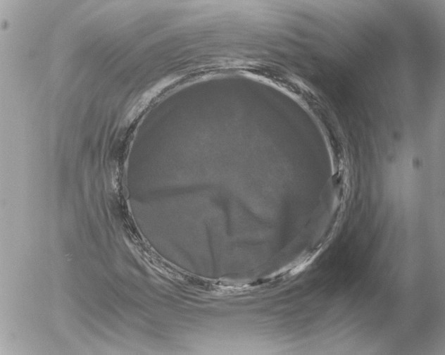 X0000052631161200507292232