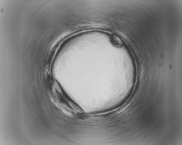 X0000052631163200507292232