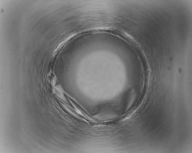 X0000052631169200507292232