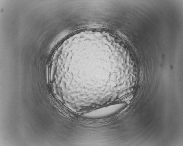 X0000052631171200507292232