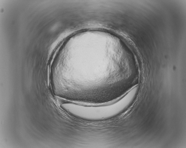 X0000052631175200507292232