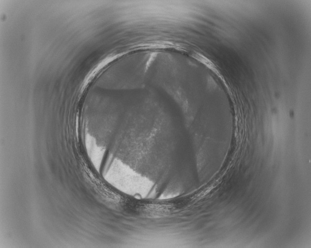 X0000052631179200507292232