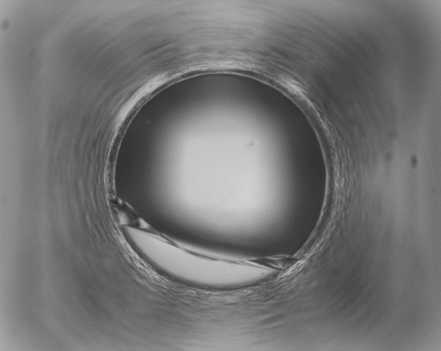 X0000052631181200507292232