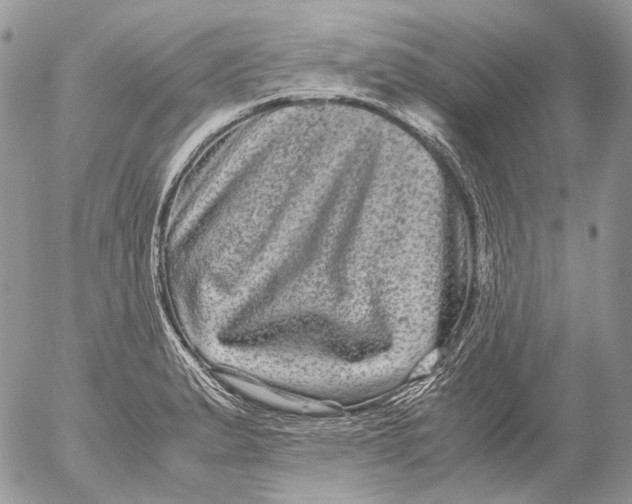 X0000052631183200507292232