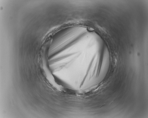 X0000052631206200507292231