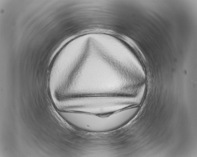 X0000052631244200507292232