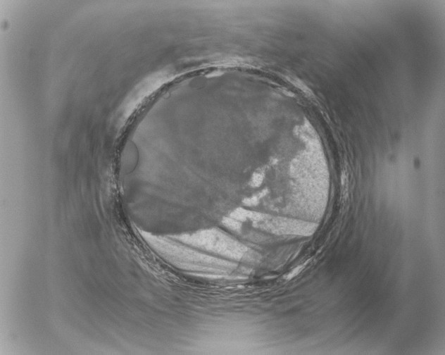 X0000052631263200507292231