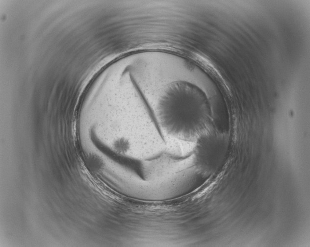 X0000052631284200507292230