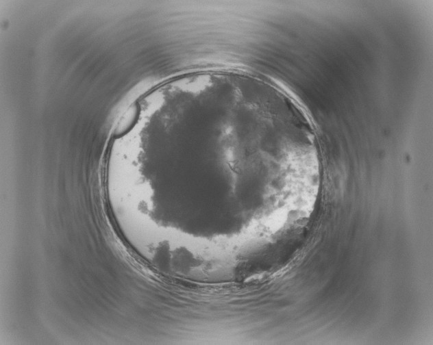 X0000052631291200507292230