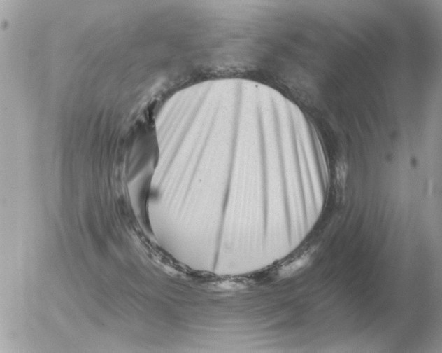 X0000052631300200507292229