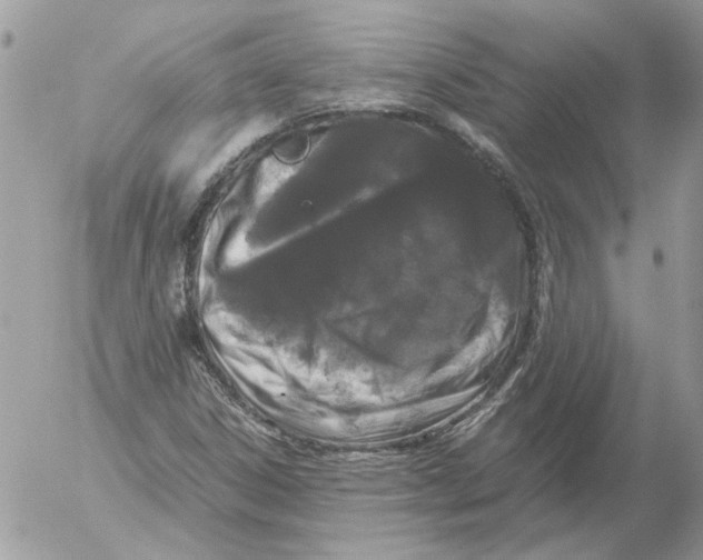 X0000052631306200507292230