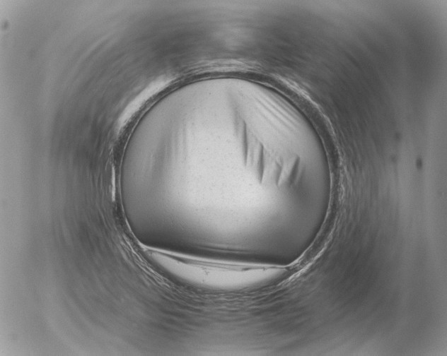 X0000052631317200507292230