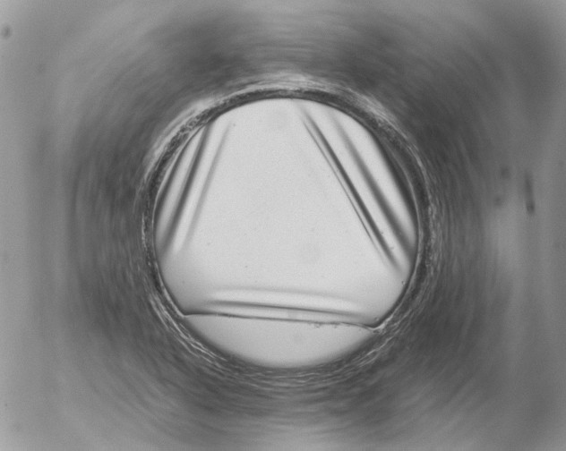 X0000052631318200507292230