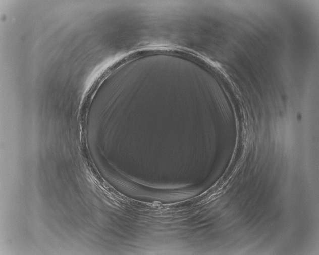 X0000052631319200507292230