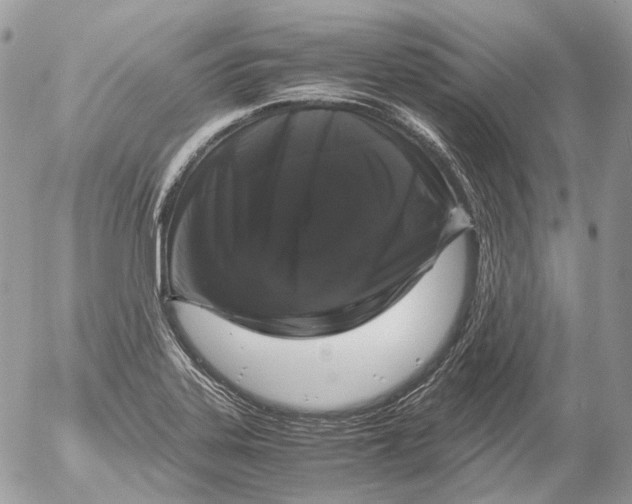 X0000052631323200507292230